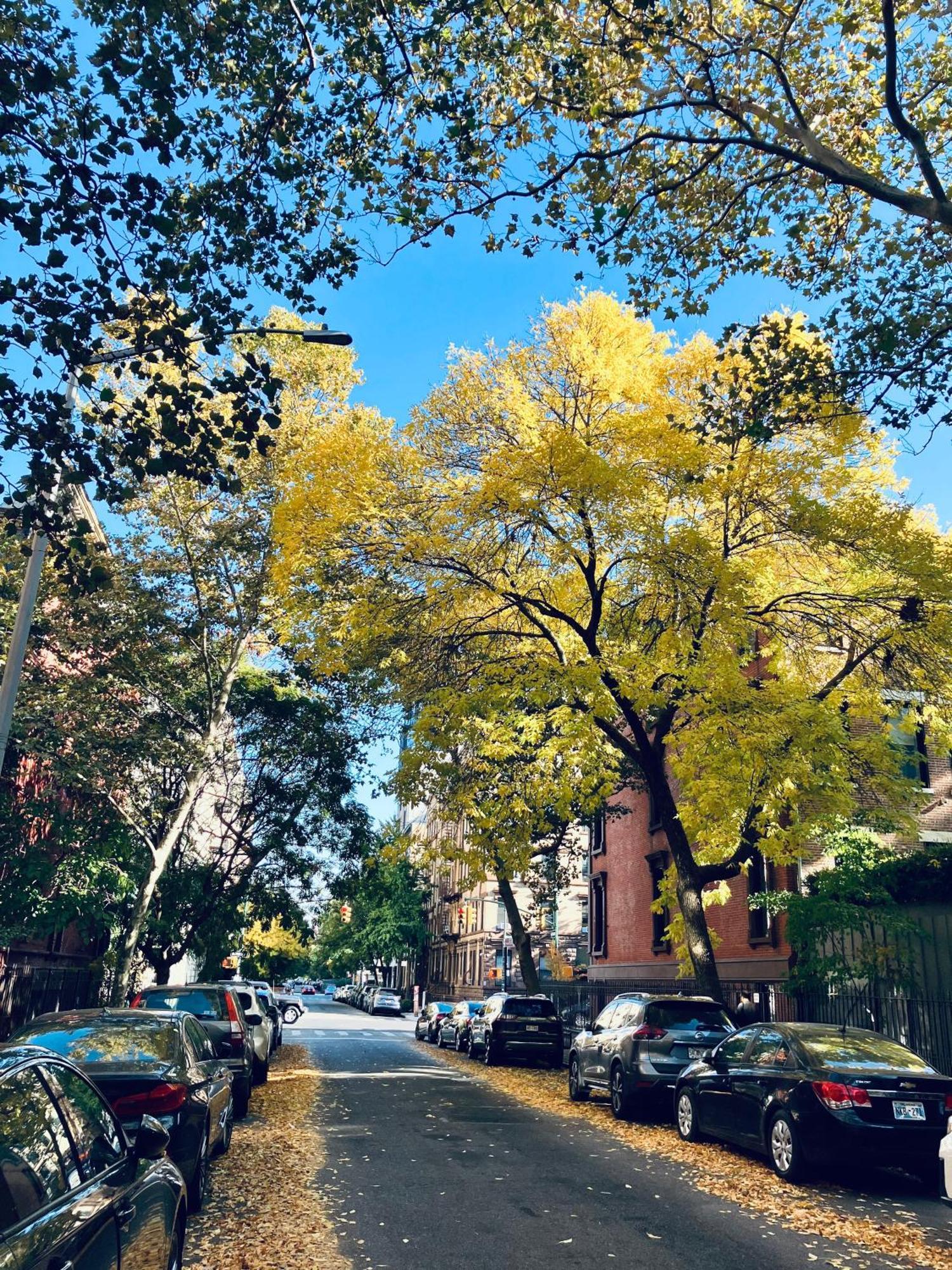 Bed and Breakfast Harlem Grand New York Esterno foto