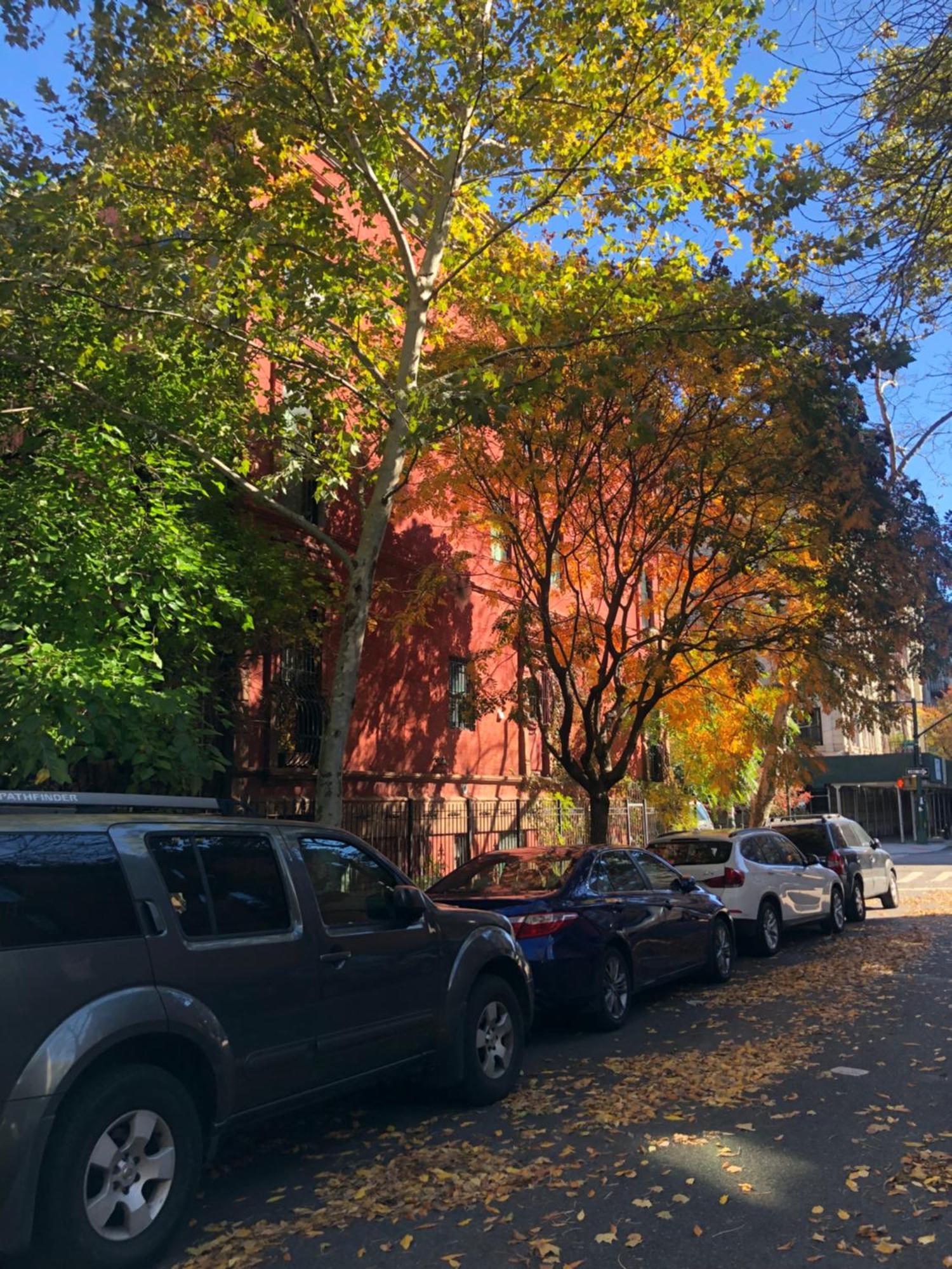 Bed and Breakfast Harlem Grand New York Esterno foto